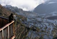 Duoyishu Rice Terraces China 