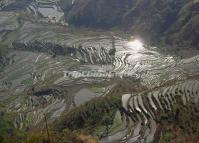 Duoyishu Rice Terraces Yunnan