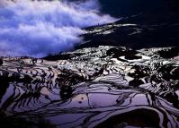 Duoyishu Rice Terraces Yuanyang County 