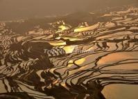 Duoyishu Rice Terraces in Yuanyang 