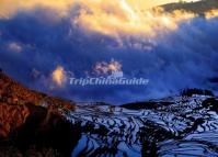 Duoyishu Rice Terraces Yuanyang Yunnan