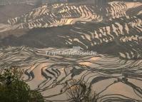 Duoyishu Rice Terraces at Yuanyang