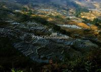 Spectacular Duoyishu Rice Terraces