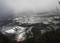 Duoyishu Rice Terraces Yunnan China 