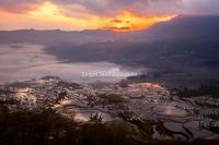 Duoyishu Rice Terraces Sunrise Scenery 