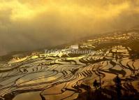 Duoyishu Rice Terraces Dusk Scenery 