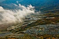 Duoyishu Rice Terraces Yuanyang County Yunnan