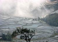 Attractive Duoyishu Rice Terraces