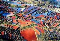 Duoyishu Rice Terraces