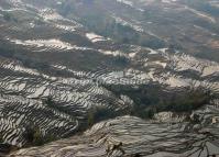 Abstract Pattern of Terraced Rice Fields in Duoyishu