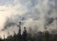 Duoyishu Village Mist