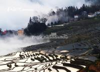 Duoyishu Scenic Area