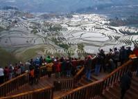 Duoyishu Rice Terraces Viewing Platform