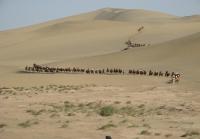People Riding Camel at Echoing-Sand Mountain Gansu China