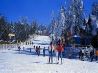 Touirsts Enjoy Skiing in Emei Mountain