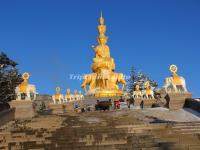 The Elephant Statues in Golden Summit of Mount Emei 