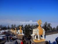 The Elephant Statues in Mount Emei 