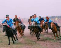 Ewenki Ethnic Riding Horses