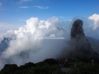 Fanjing Mountain in Fog