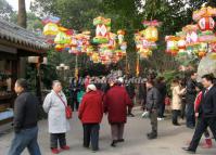 Festivals Beautiful Lantern in Chengdu