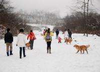 Snow Festivals in Chengdu