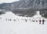 Ice Festivals in Chengdu