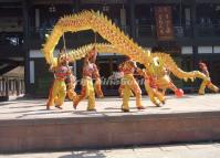 Chengdu Dragon Lantern Dance Festival