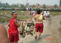 Festivals in Chengdu