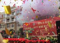 Festivals Activity in Chengdu