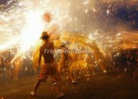 Huanglongxi International Dragon and Lion Culture and Arts Festival in Chengdu China