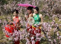 Chengdu International Peach Blossom Festival China