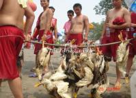 Festivals in Chengdu China