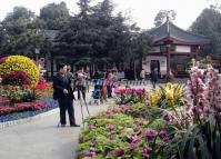 Flowers Blooming Festivals in Chengdu