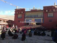 Prayers in Ganden Thubchen Choekhorling Monastery 