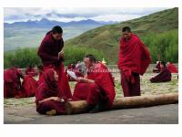 The Lamas Are Debating Scriptures in Ganden Thubchen Choekhorling Monastery 