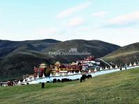 Ganden Thubchen Choekhorling Monastery, Litang, Sichuan