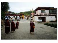 The Lamas of Litang Temple