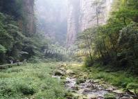 Golden Whip Stream at Zhangjiajie 