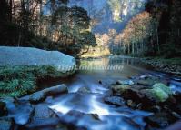 The Beautiful Golden Whip Stream Canyon in Zhangjiajie China