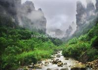 Golden Whip Stream Zhangjiajie Hunan China