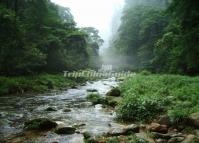 Zhangjiajie Golden Whip Stream China 