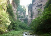 Golden Whip Stream Canyon Zhangjiajie