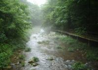 Golden Whip Stream Zhangjiajie Hunan