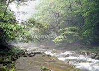 Hiking Along the Golden Whip Stream in Zhangjiajie National Forest Park