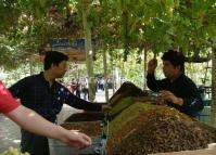 Turpan Grapes