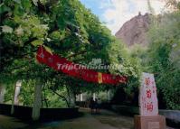 Grape Valley in Xinjiang