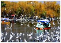 Cuihu Lake Park Kunming 