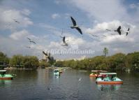 Green Lake Kunming China