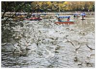 Boating on the Green Lake Kunming