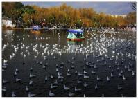 Kunming Green Lake